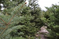 Foto (© Eurokinissi)