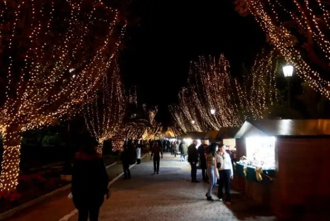 Foto: (© Eurokinissi)