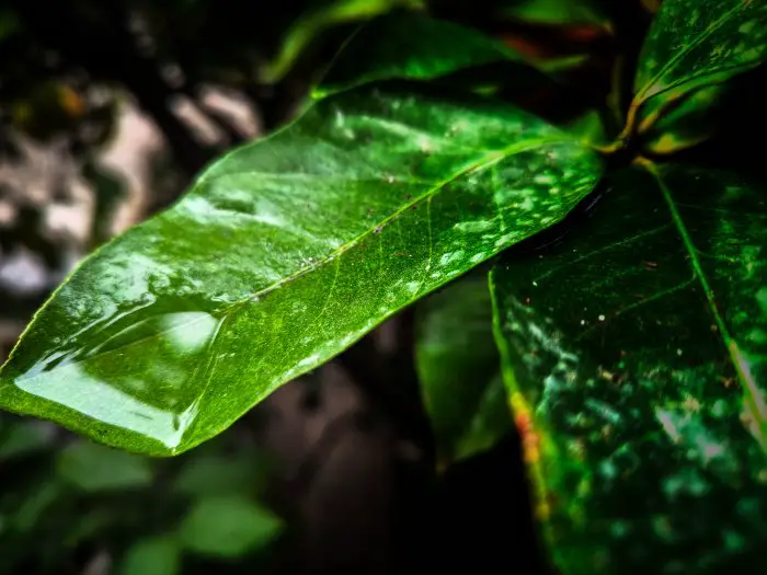 Dienstag mit milden Temperaturen – örtliche Regenfälle