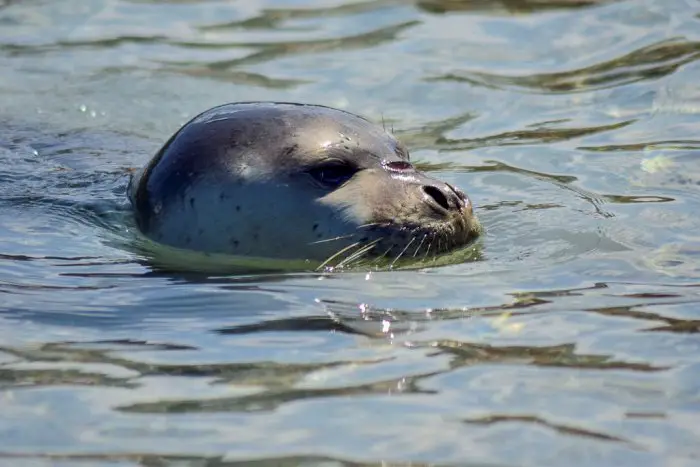 Beispielfoto (© Eurokinissi)