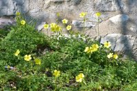 Archivfoto (© Griechenland Zeitung / jh)