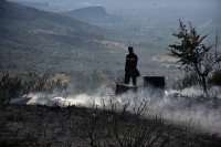 Immer wieder wird das Urlaubsland Griechenland von Waldbränden heimgesucht (Archivfoto © Eurokinissi). 