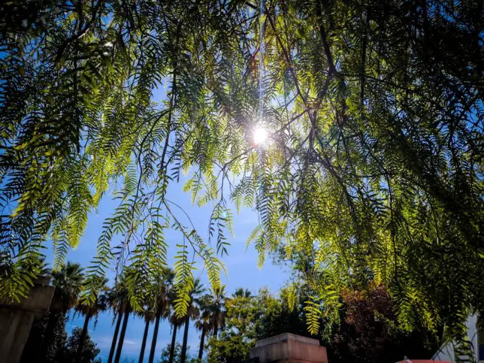 Archivfoto (© Eurokinissi)