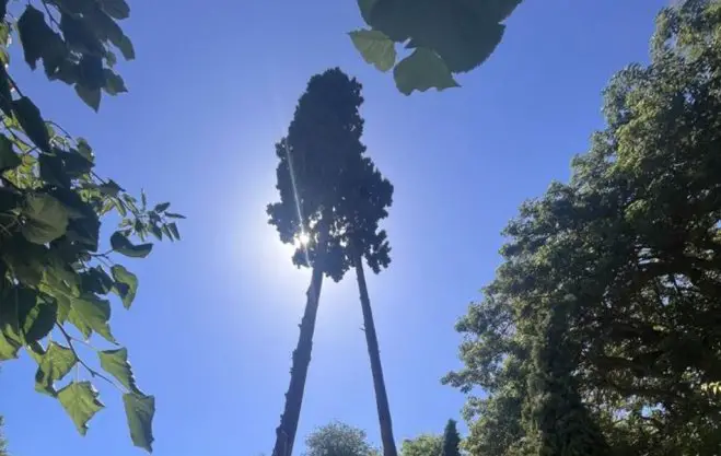 Himmel über dem Nationalgarten Athen (Foto: © Svea Mauersberger)