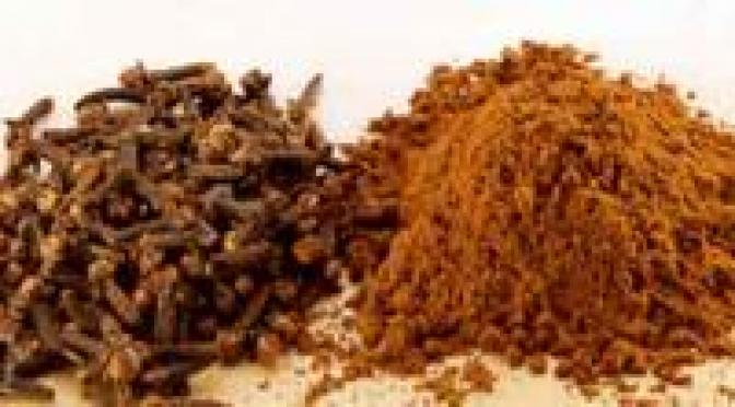 Haltbarkeit und Aufbewahrung