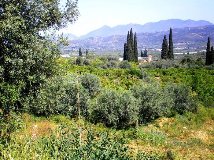 Trizinia auf der Peloponnes: Traumhafte Landschaft, spannende Mythen und Archäologie