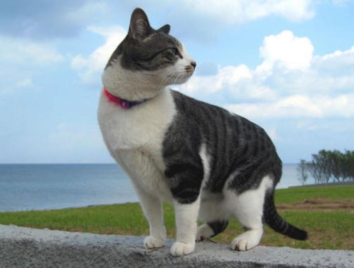 Der griechische Teil unserer Familie