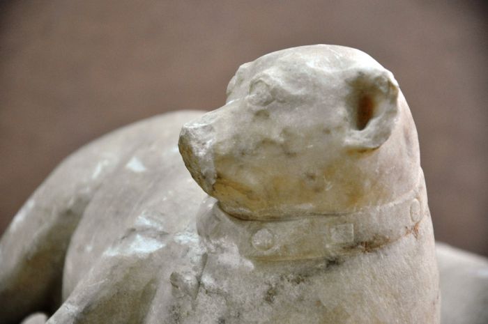 Foto © namuseum: Der kleine marmorne Hund