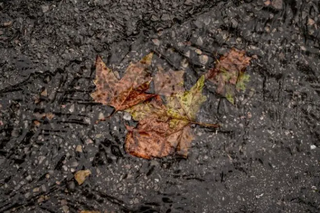 Archivfoto(© Eurokinissi)