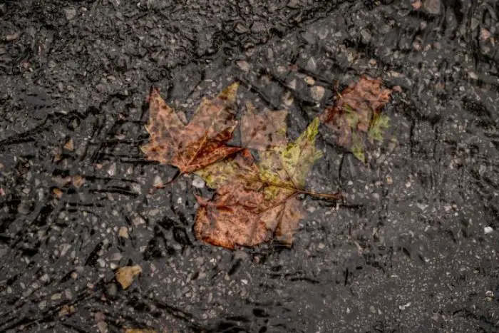 Archivfoto(© Eurokinissi)