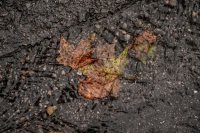 Archivfoto(© Eurokinissi)