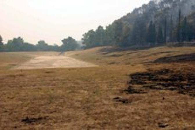 Grünes Licht für Wiederaufforstung der Wälder bei Olympia