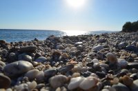Foto (© Griechenland Zeitung / Jan Hübel): Lesbos
