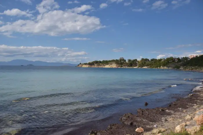 Unser Foto (Griechenland Zeitung / Lucas Geschke) entstand auf der Insel Egina.