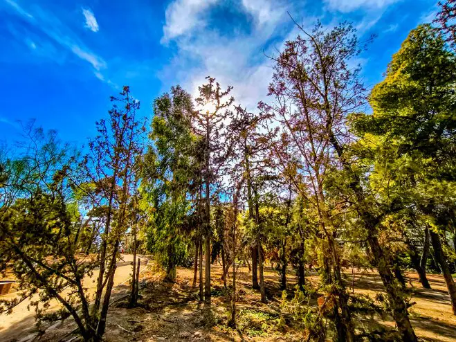 Archivfoto (© Eurokinissi)