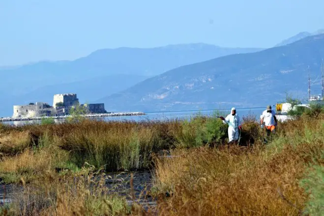 Unser Archivfoto (© Eurokinissi) zeigt Schutzmaßnahmen gegen Mückenpopulationen in der Nähe von Nafplion, durch die das West-Nil-Virus übertragen werden kann.