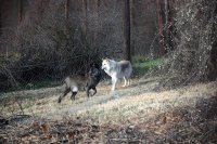 Archivfoto (© Eurokinissi)