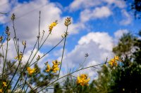 Heiterer Maitag – heiß im Westen und Süden