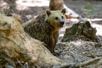 Archivfoto (© Eurokinissi)