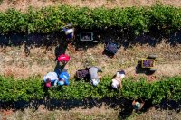 Archivfoto (© Eurokinissi)