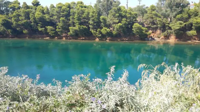 Unser Archivfoto © Elisa Hübel wurde auf Chalkidiki aufgenommen.