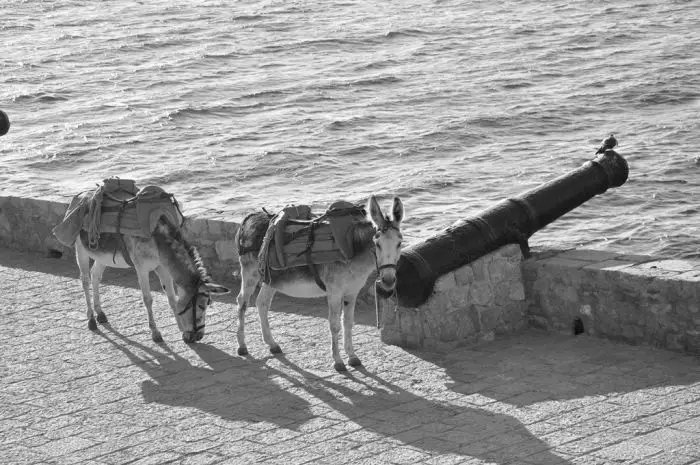 Die Fernsehtruhe: Hydra - Weißes Eiland