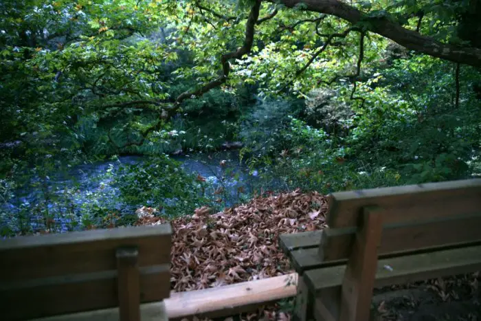 Unser Archivfoto (© Eurokinissi) entstand in der Schlucht von Kalamas.