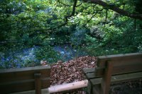 Unser Archivfoto (© Eurokinissi) entstand in der Schlucht von Kalamas.