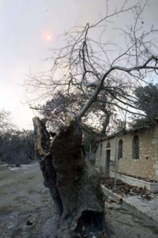 150 Millionen Euro für Wiederaufbau der Häuser nach Brandkatastrophe