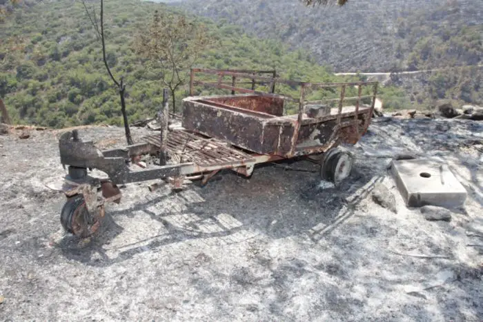Soforthilfe für brandgeschädigte Mastix-Bauern auf Chios