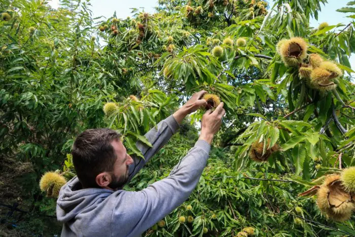 Symbolbild (© Eurokinissi)