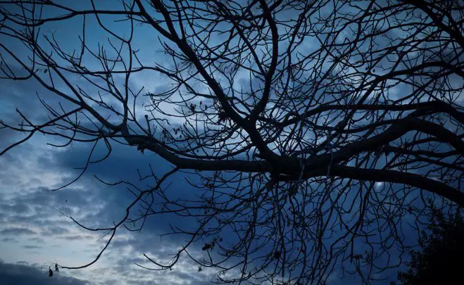 Foto (© Eurokinissi)