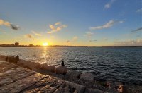 Foto (© Eurokinissi) Im mediterranen Griechenland betrachtet man Fragen der Lebensführung und der Gesundheit in einem neuen Licht.