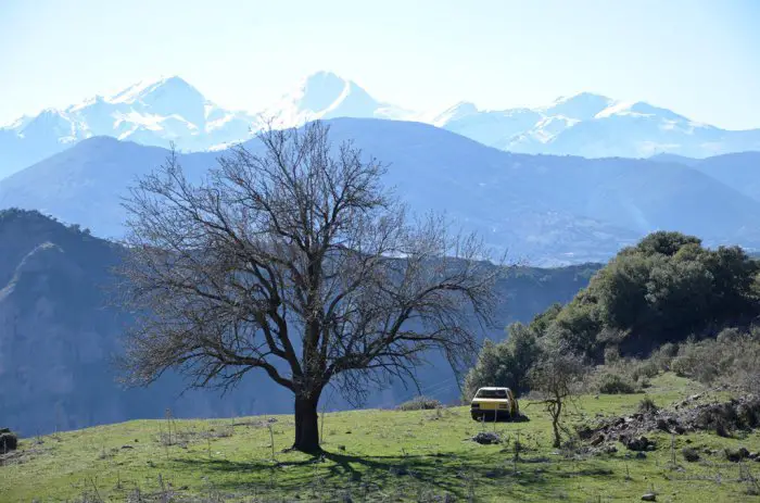 Foto (© Griechenland Zeitung / Jan Hübel)