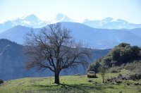 Foto (© Griechenland Zeitung / Jan Hübel)