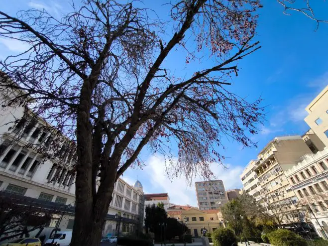 Archivfoto (© Eurokinissi)