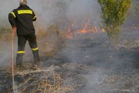 Großbrand in Nordeuböa vernichtet wertvollen Kiefernbestand 