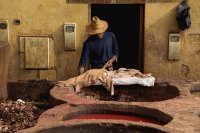 Unser Foto (© / facebook.com/blankwallgallery) zeigt eine der ausgestellten Aufnahmen der "Street Photography"-Ausstellung.