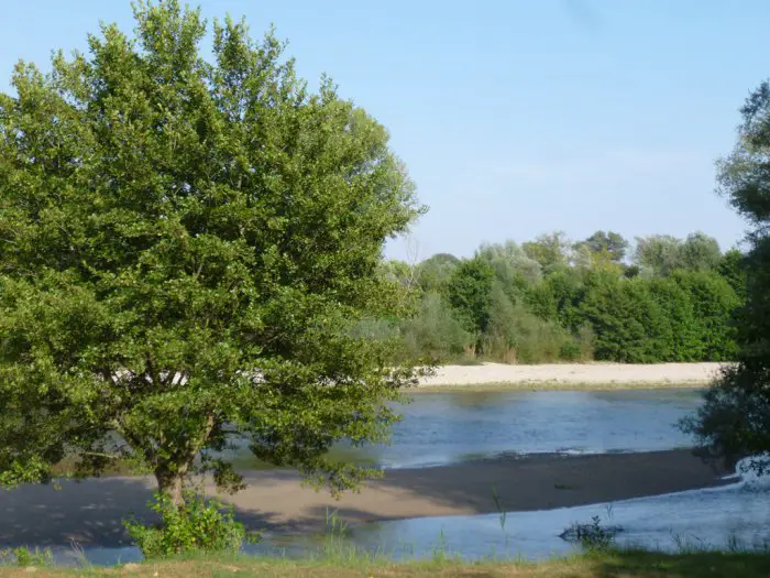 Unser Foto (© GZ / Elisa Hübel) entstand am nordgriechischen Fluss Nestos.