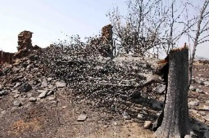 Debatte über die Brände steht im Zentrum der Politik