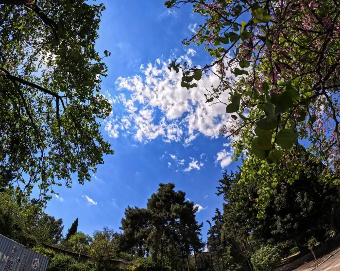 Überwiegend heiter, einige Wolken und sehr warm