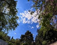 Überwiegend heiter, einige Wolken und sehr warm