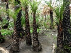 Archivfoto (© Eurokinissi)