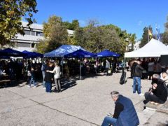 Foto: (© Griechenland Zeitung / Jan Hübel)