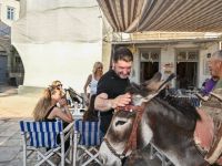Unsere Fotos (© Eurokinissi) entstanden während des offiziellen Besuches des Gouverneurs von Attika Nikos Chardalias auf der Insel Hydra.