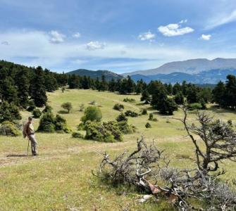 Hochebene im Parnass: eine nahezu unberührte Weidelandschaft, die stark dem Schweizer Jura ähnelt. (Fotos: GZgl/fm)