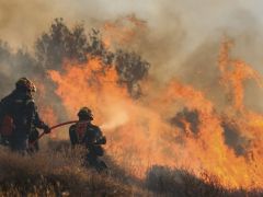 Unser Foto von © Eurokinissi zeigt Feuerwehrmänner im Einsatz auf Kreta.