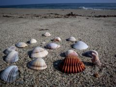 Archivfoto (© Eurokinissi)