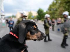 Symbolbild (© Eurokinissi)