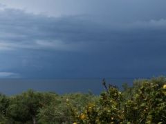  Archivfoto (© Hubert Seifert)